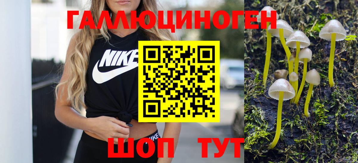 сколько стоит  Псилоцибиновые грибы прущие грибы  Вход с VPN  Холмск 