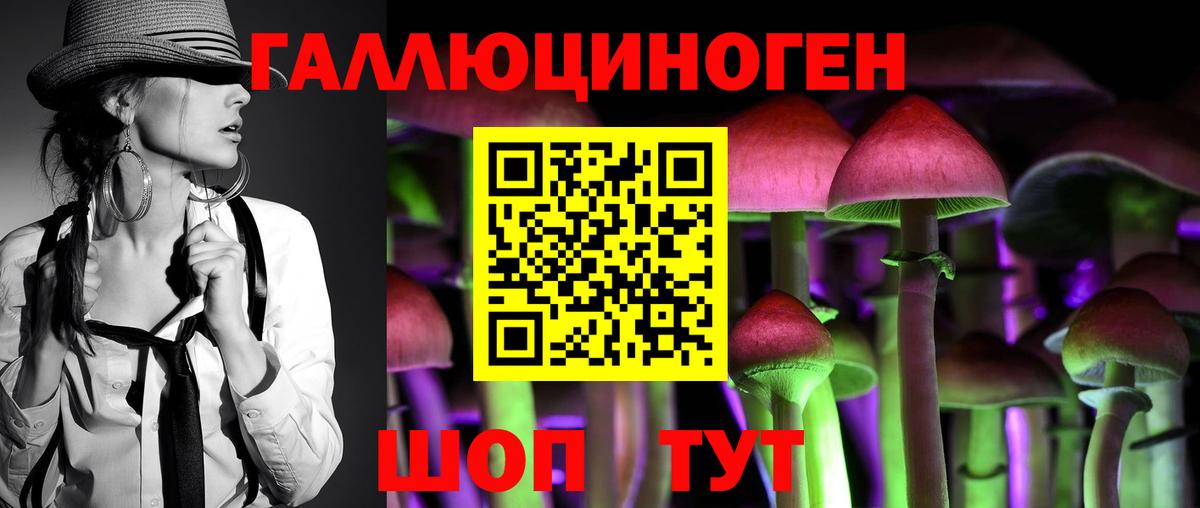 Псилоцибиновые грибы мухоморы Холмск